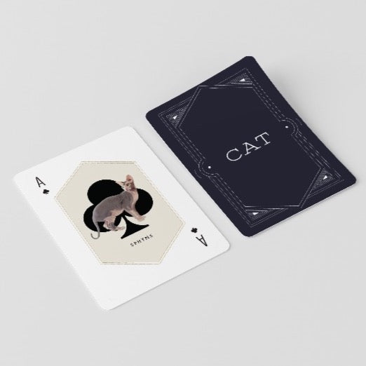 Cat And Dog Playing Cards