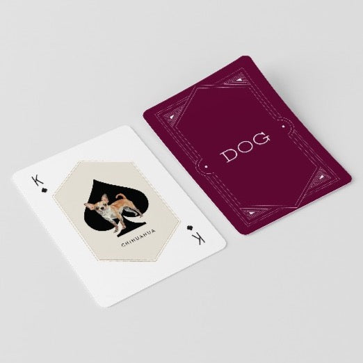 Cat And Dog Playing Cards