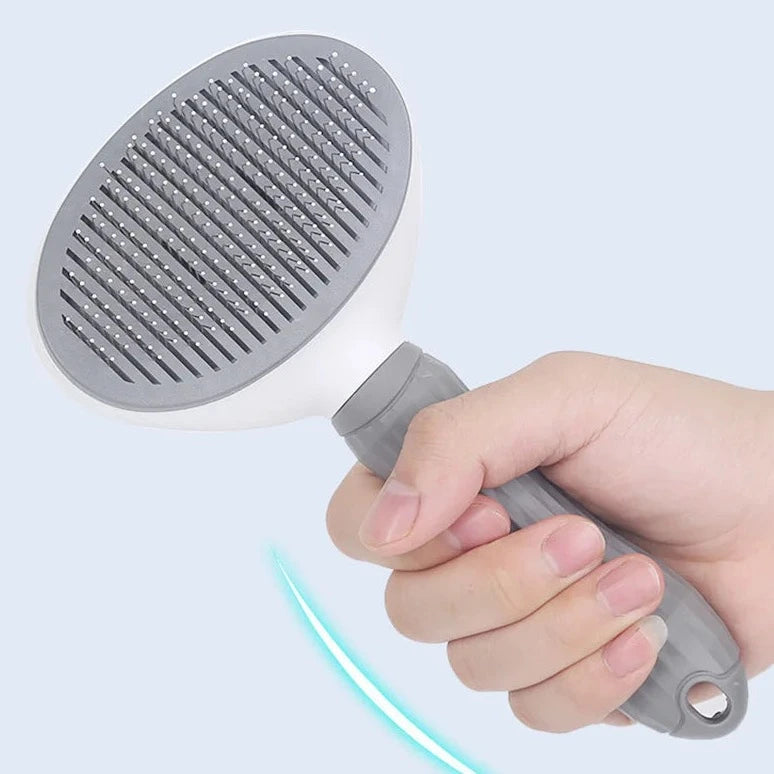 Hair Brush