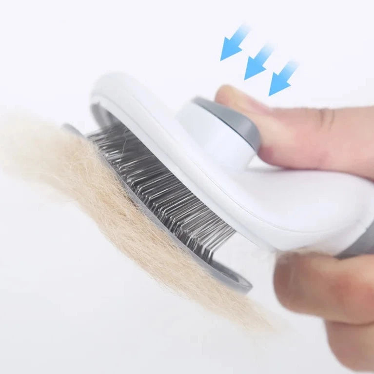 Hair Brush