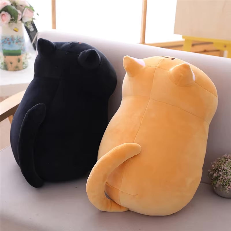Cuddly Kitties