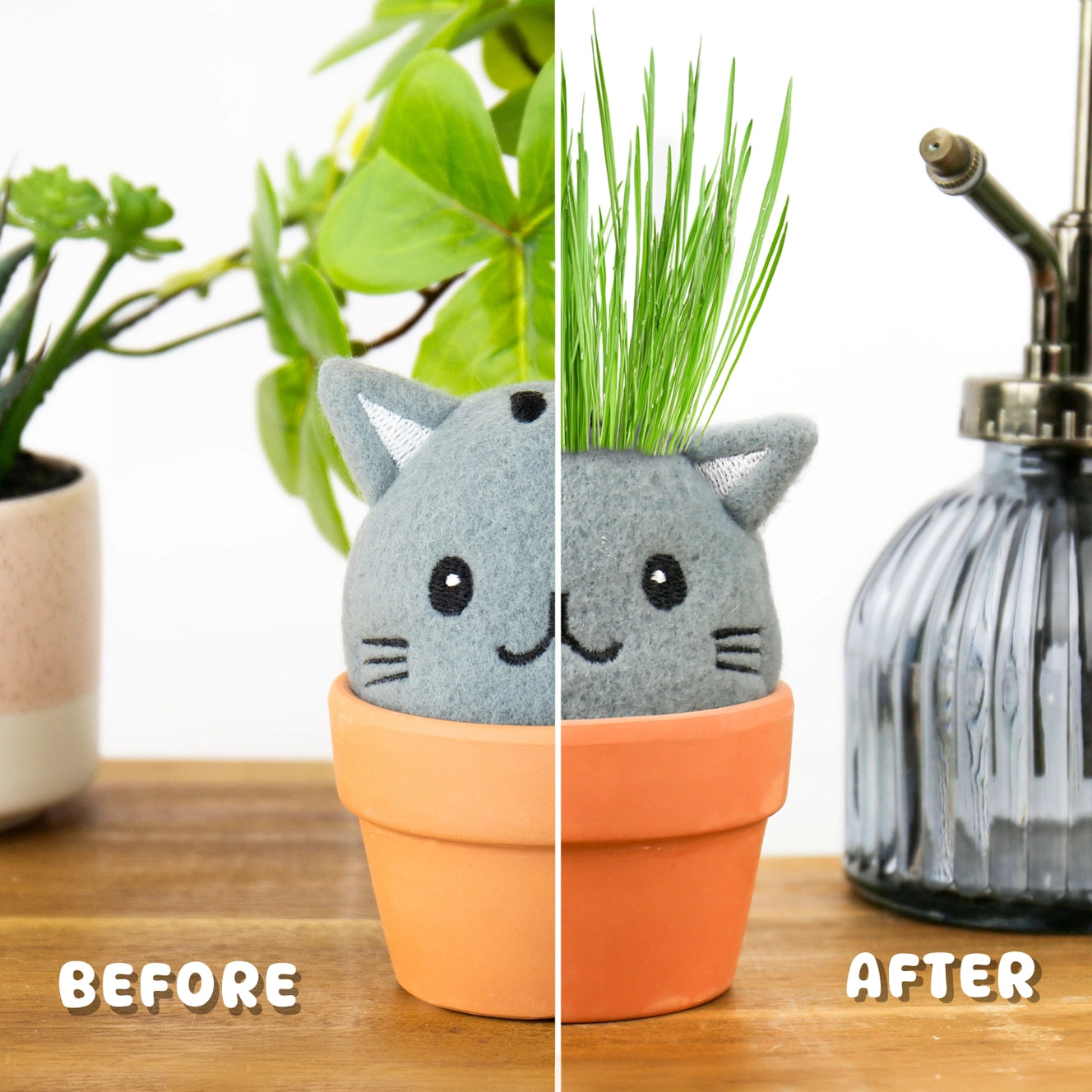 Cat grass head fun grow pal