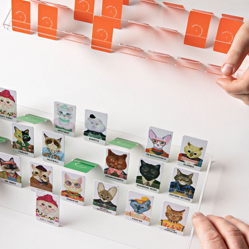 guess the feline board game for cat lovers