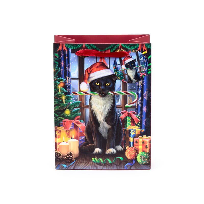 tuxedo cat in santa hat lisa parker illustration
