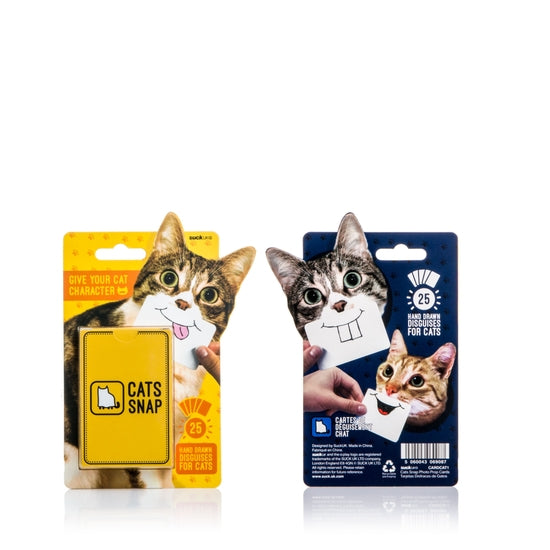 Cats snap funny hand drawn cards for fun photo shoots with your cat