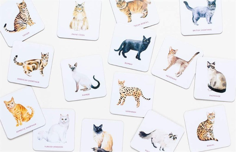 15 different cardboard cat coasters illustrated by watercolour artist Marcel George
