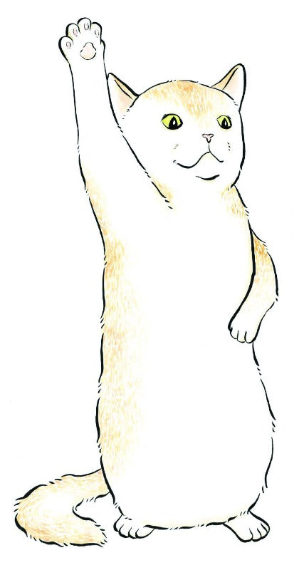 Cats lead very busy lives, and their days are full of activities not always visible to the naked eye. This funny complete-the-drawing book presents dozens of illustrations of cats engaged in invisible pastimes and activities, just waiting for you to finish the scene with your creative and artistic inspiration.