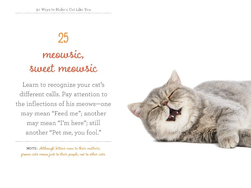 97 ways to make a cat like you pocket book. 97 tried and tested ways - inspired, occasionally silly but all based on behavioural research - to ensure your pet’s loyalty, happiness and well-being. From the creative gift of touch, to imaginative play and making toys and distractions out of household objects, you will find that when treated in the right way, your pet will respond in kind.