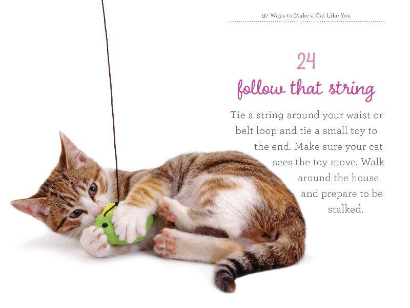 97 ways to make a cat like you pocket book. 97 tried and tested ways - inspired, occasionally silly but all based on behavioural research - to ensure your pet’s loyalty, happiness and well-being. From the creative gift of touch, to imaginative play and making toys and distractions out of household objects, you will find that when treated in the right way, your pet will respond in kind.