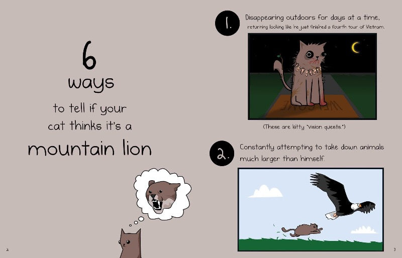 How to tell if your cat is plotting to kill you cat themed fun books for cat lovers uk