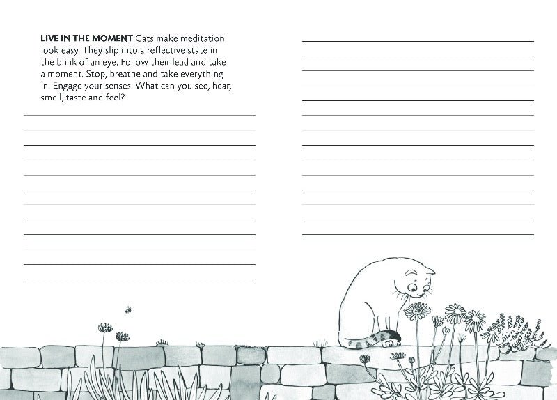 Cattitude Journal to discover the purr-fect you for cat lovers