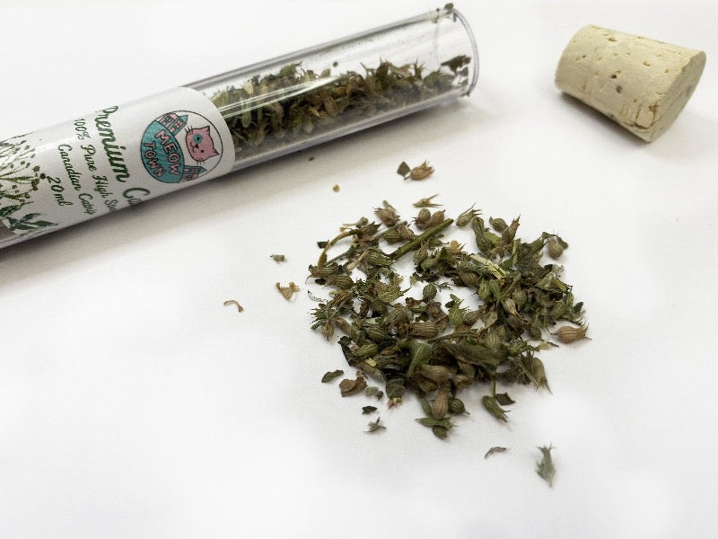 Meow Town Premium canadian catnip strong natural high strength for cats brown eco friendly tube transparent