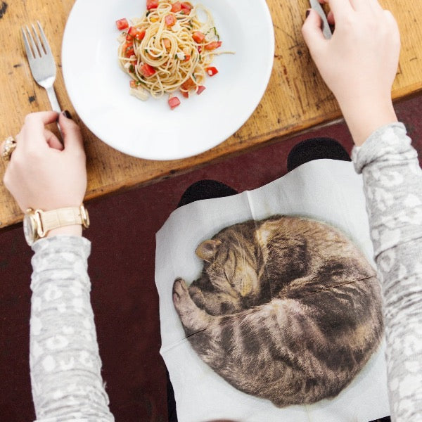 Cat napkins four designs cute lap cats tissue paper