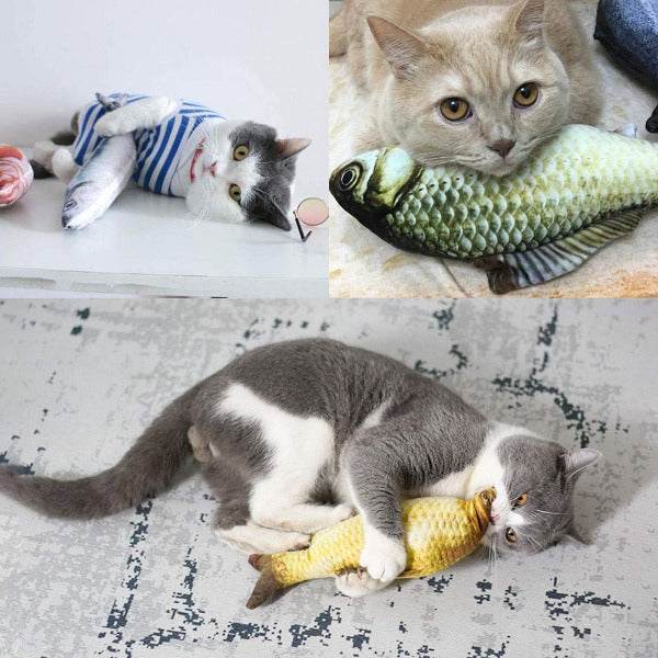 Funny, digital printed realistic fish plush cat toys. One package contains 5pcs of various pattern toys.  Filling contains catnip to make it more attractive for your little friend.