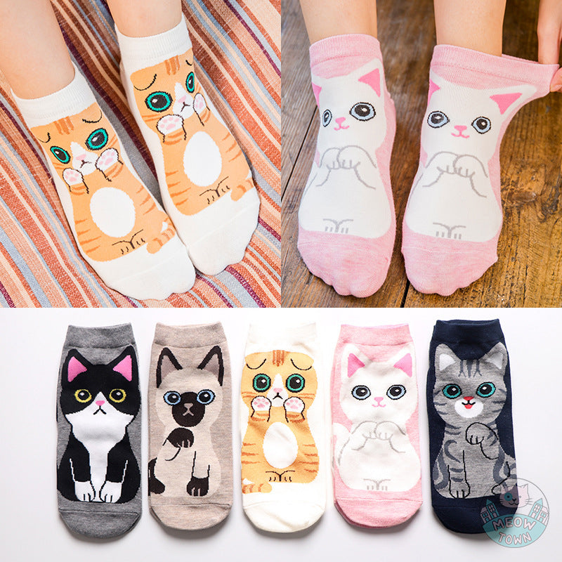 5pcs cat breeds cute cat socks cotton stretch one size women accessories for cat lovers