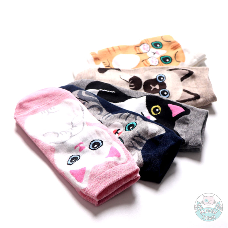 5pcs cat breeds cute cat socks cotton stretch one size women accessories for cat lovers