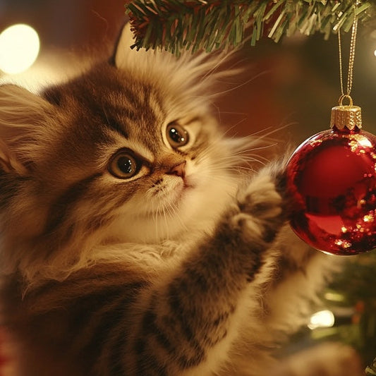 Last Online Order Dates For Christmas