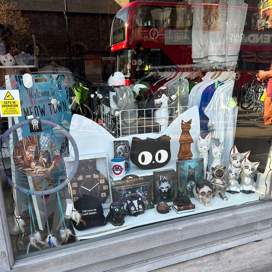 A little autumn update from our cat themed shop in Camden