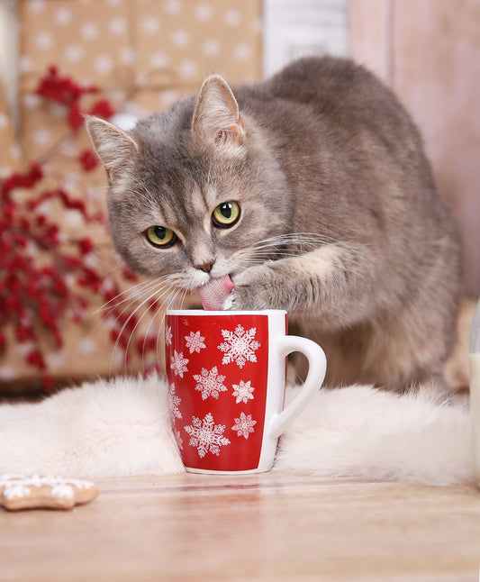Tips For Cat Owners For The Holiday Season