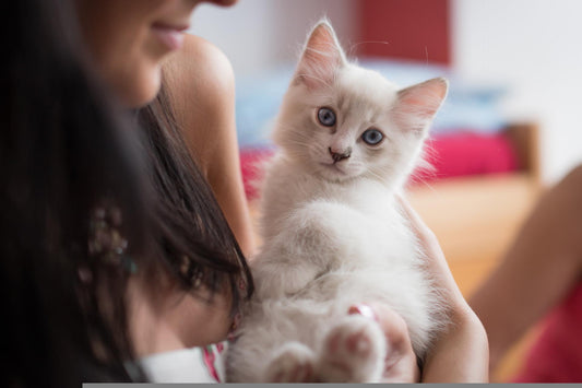 100 Pawsome Name Ideas For Your New Furry Friend