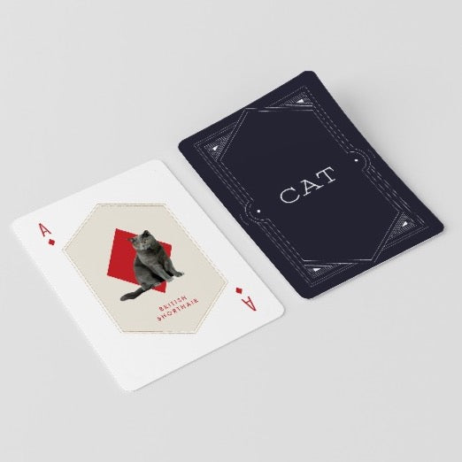 Cat And Dog Playing Cards