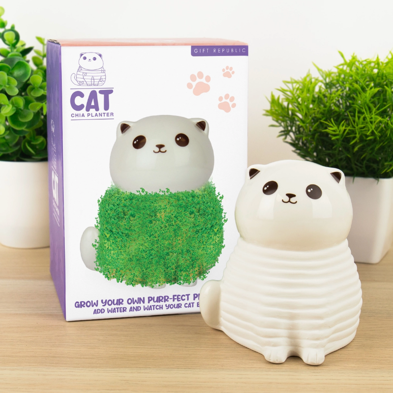 chia planter cat with box