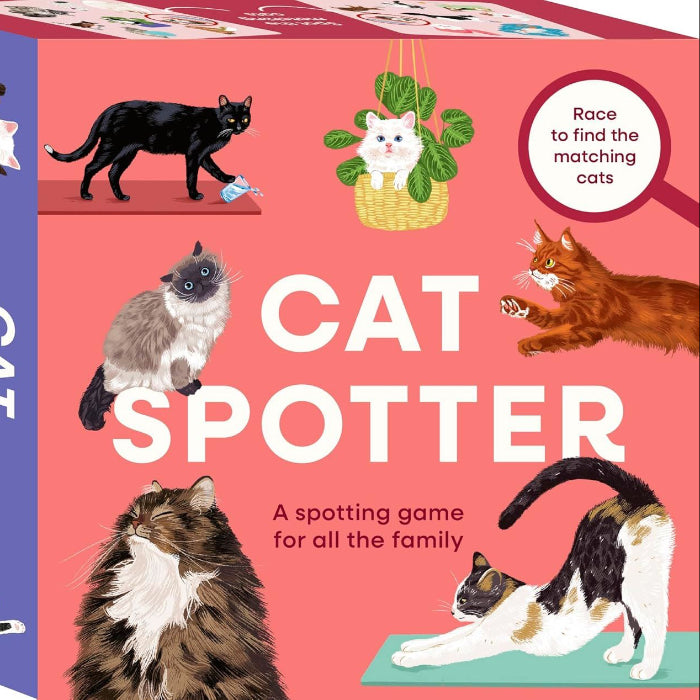 cat spotter card game