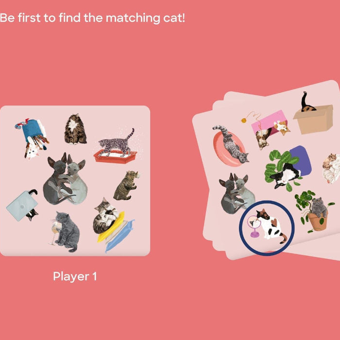 cat spotter game cards 2