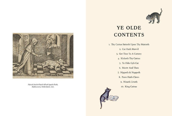 medieval cats book page1