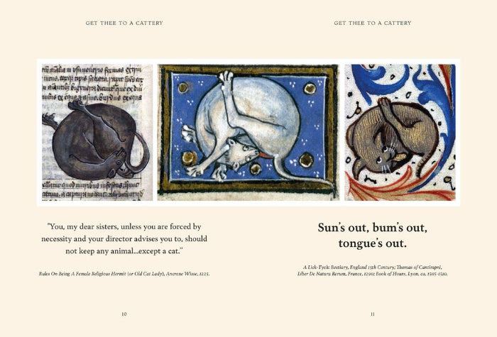medieval cats book page2