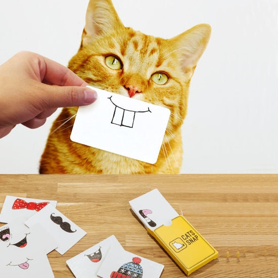 Cats snap funny hand drawn cards for fun photo shoots with your cat