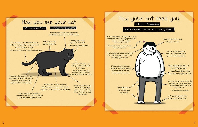 How to tell if your cat is plotting to kill you cat themed fun books for cat lovers uk
