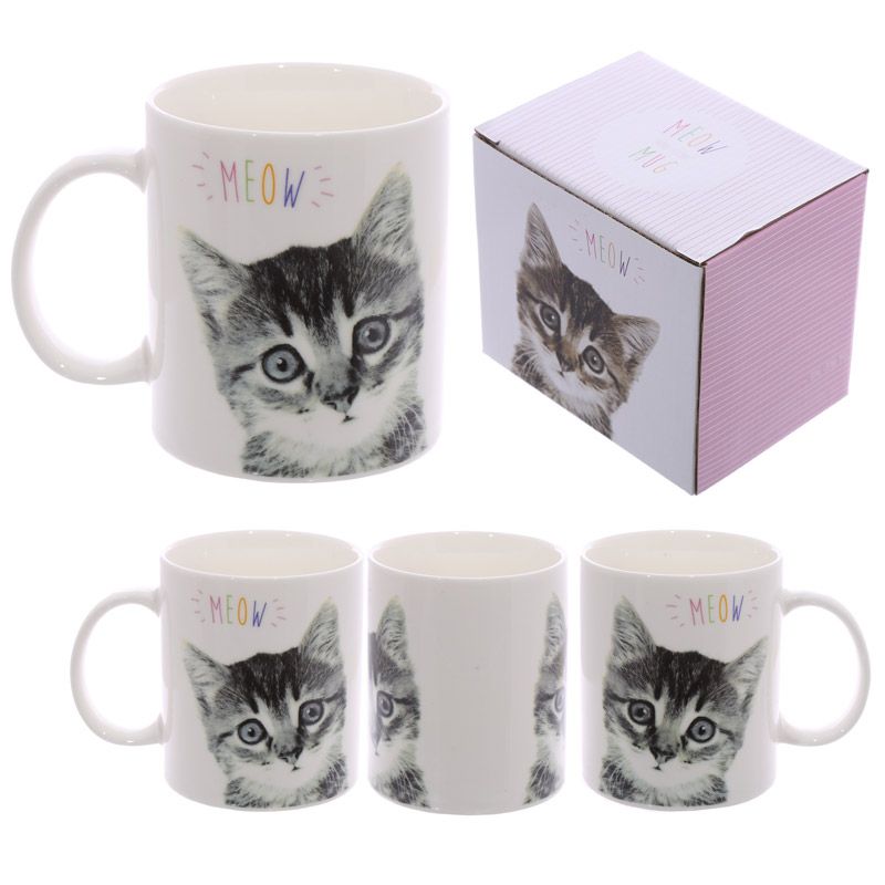 Meow slogan porcelain mug for cat lovers cute kitten print in gift box