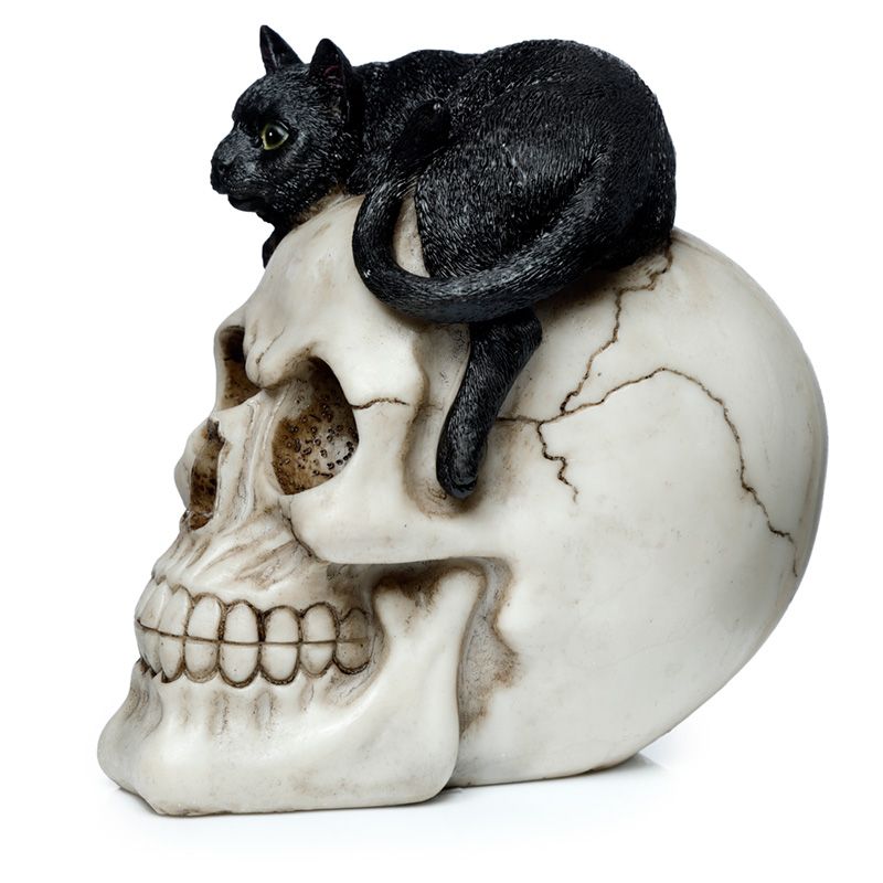 Beautiful yet spooky, unique cat and skull ornament. Resin material, comes in decorative box.