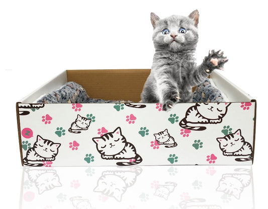 cardboard cat bed brown white sleeping kitten print for adult cats kittens indoor with cushion blanket grey kitten inside