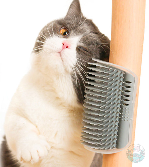 Cat massage comb grooming for furniture wall corners grey colour with cat