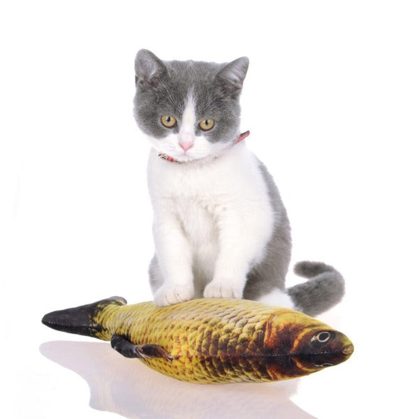 Funny, digital printed realistic fish plush cat toys. One package contains 5pcs of various pattern toys.  Filling contains catnip to make it more attractive for your little friend.