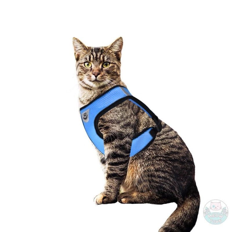 Cat harness for adult cats kittens reflective durable for walking blue or pink