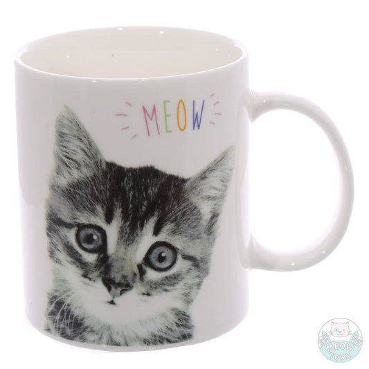 Meow slogan porcelain mug for cat lovers cute kitten print