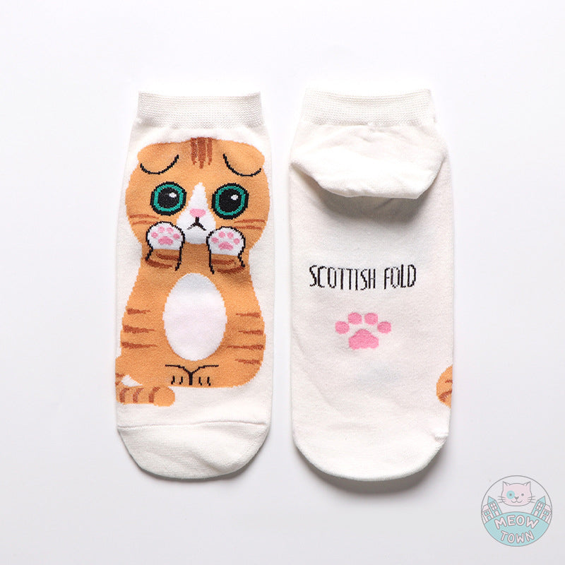 5pcs cat breeds cute cat socks cotton stretch one size women accessories for cat lovers