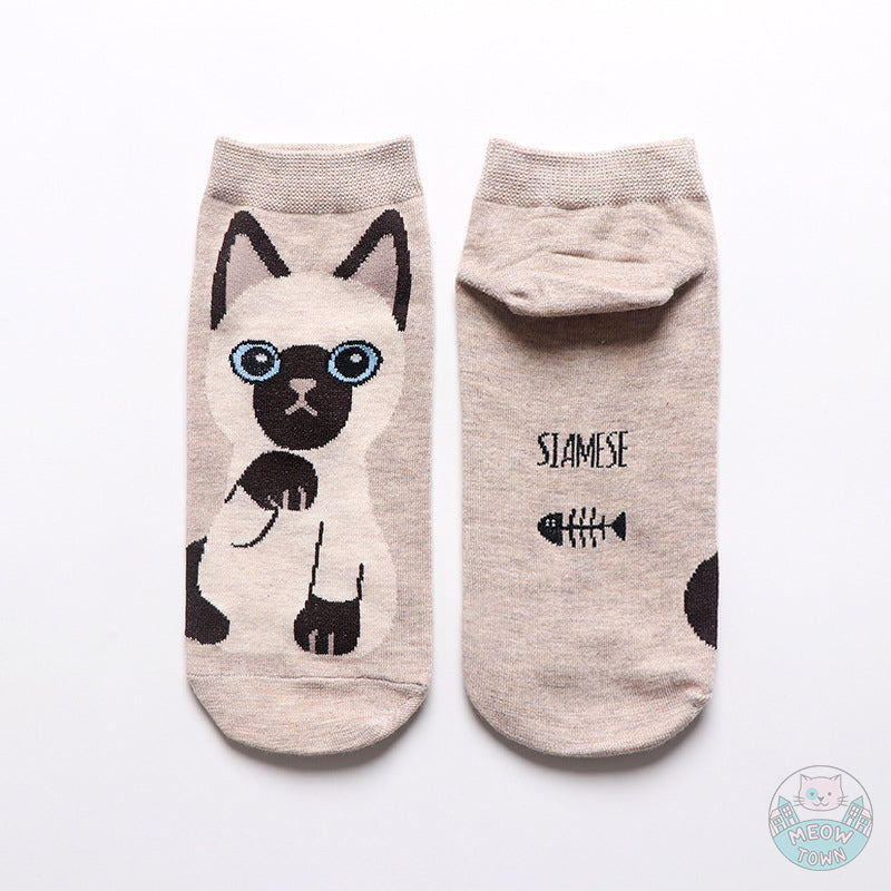 5pcs cat breeds cute cat socks cotton stretch one size women accessories for cat lovers siamese