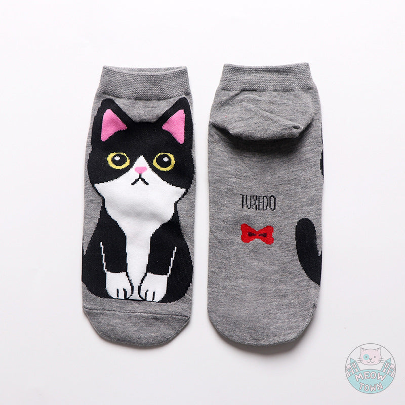 5pcs cat breeds cute cat socks cotton stretch one size women accessories for cat lovers tuxedo