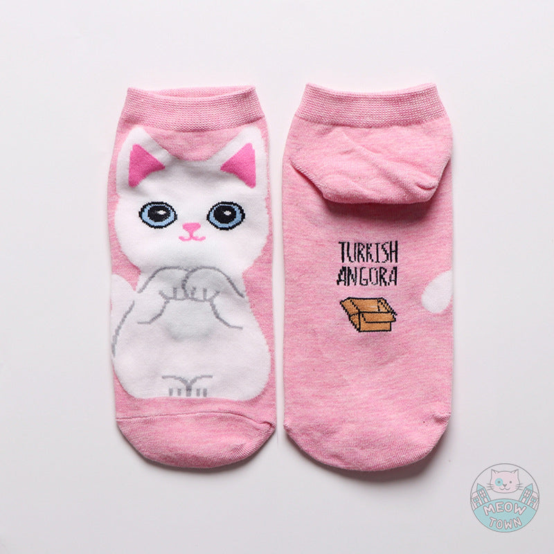 5pcs cat breeds cute cat socks cotton stretch one size women accessories for cat lovers turkish angora