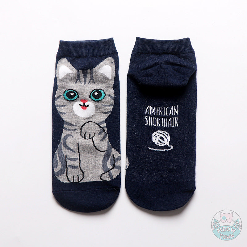 5pcs cat breeds cute cat socks cotton stretch one size women accessories for cat lovers