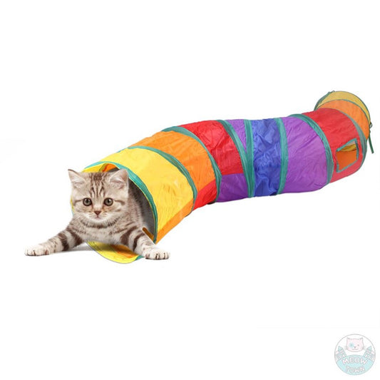 cute cat in the rainbow tunnel